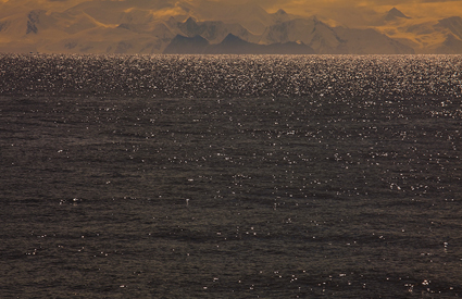 Antarctica_2009-LXII