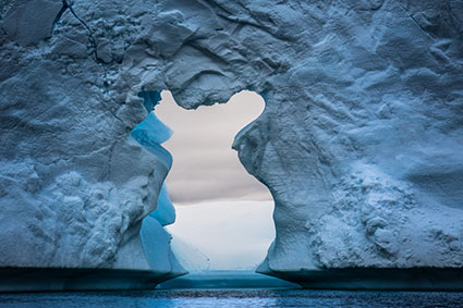 Antarctica Photography Workshop