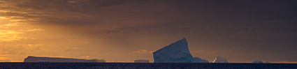 Antarctica Photography Workshop